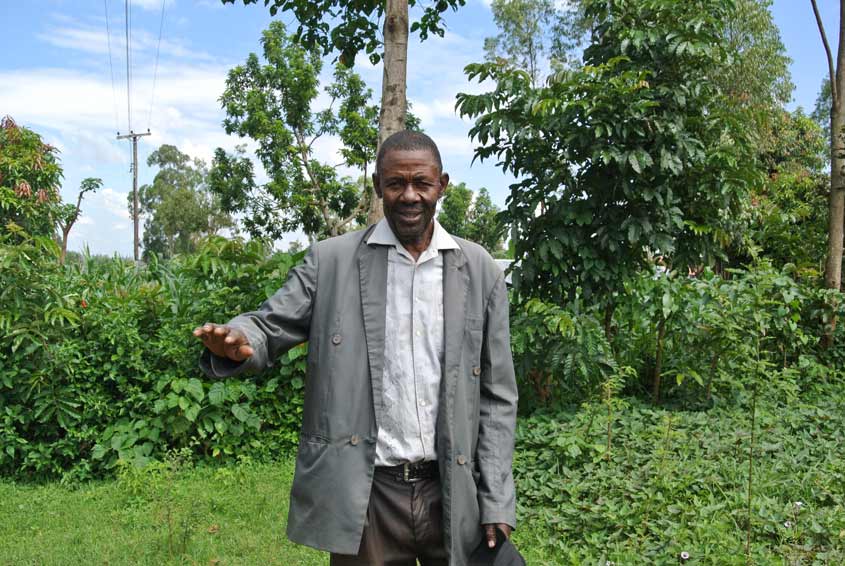 Los agricultores de Kenya recurren al maíz resistente a la sequía para combatir la pobreza