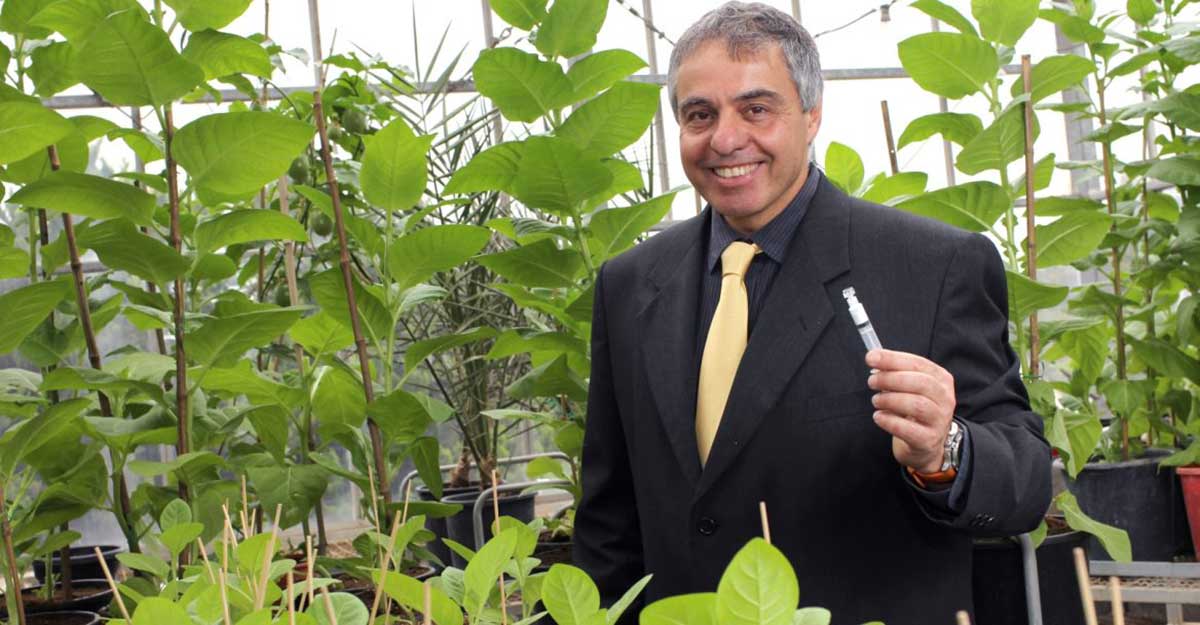 Bioingeniería: sacar a la luz los tesoros ocultos de la naturaleza Bioingeniería: sacar a la luz los tesoros ocultos de la naturaleza